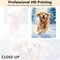 Paint by Numbers for Adults Kids Beginner Golden Retriever Paint by Number Kit Dog Adult Paint by Number Kits On Canvas Acrylic Paint
